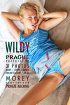 Wildy Prague nude art gallery by craig morey cover thumbnail